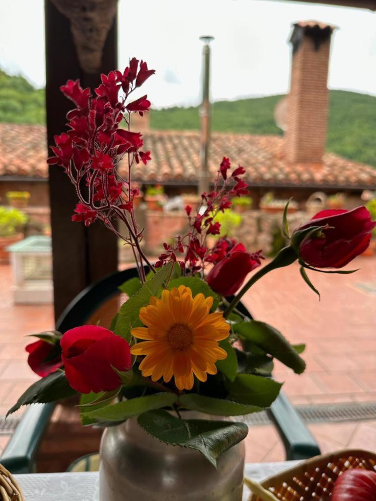 Ezcaray Turza Casa Rural Completa Hasta 8Pax Esterno foto