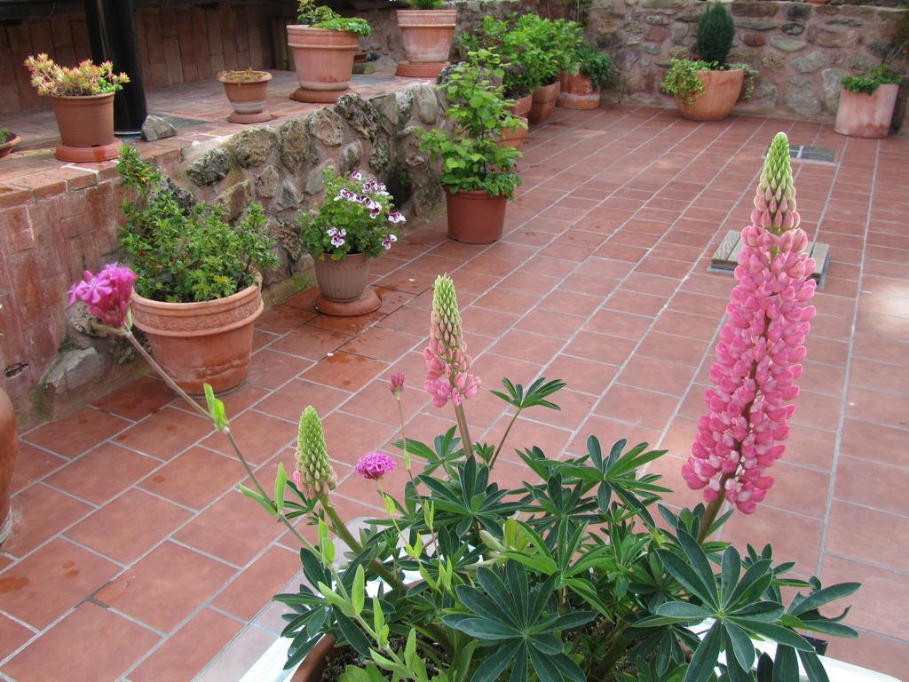 Ezcaray Turza Casa Rural Completa Hasta 8Pax Esterno foto